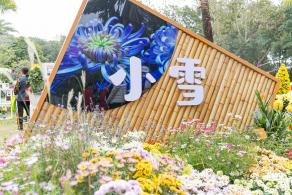 2023东湖公园菊花展
