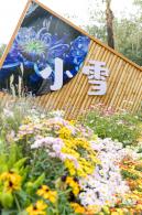 2023东湖公园菊花展