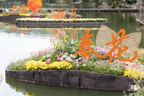 2023东湖公园菊花展