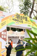 2023东湖公园菊花展