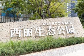 西丽生态公园花海&菊花展