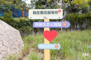 西丽生态公园花海&菊花展