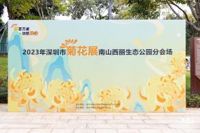 西丽生态公园花海&菊花展