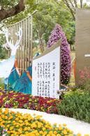 西丽生态公园花海&菊花展