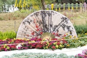 西丽生态公园花海&菊花展