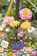 西丽生态公园花海&菊花展
