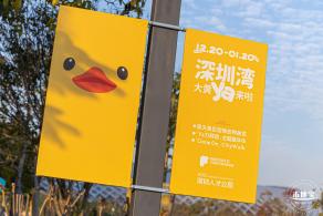 人才公园大黄鸭
