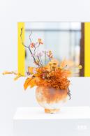 大鹏菊花展