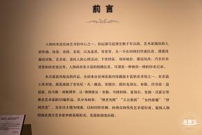 展览--对望与凝视