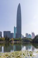荔枝公园落羽杉