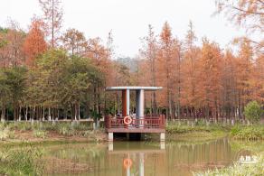 红花岭公园