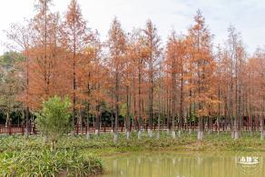 红花岭公园