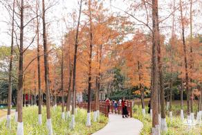 红花岭公园