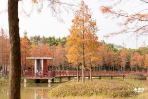 红花岭公园