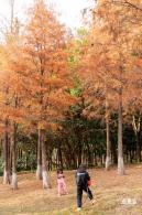 红花岭公园