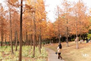 红花岭公园