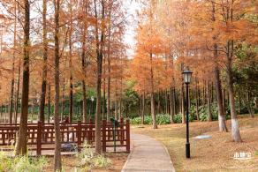 红花岭公园