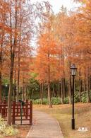 红花岭公园