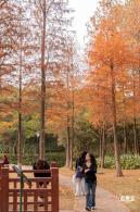 红花岭公园