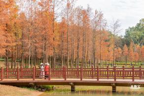 红花岭公园