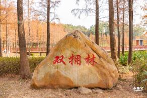 红花岭公园