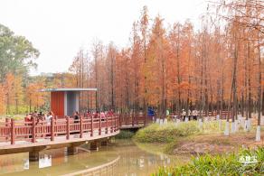 红花岭公园