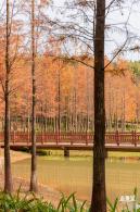 红花岭公园