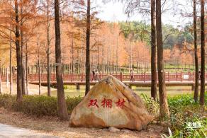 红花岭公园