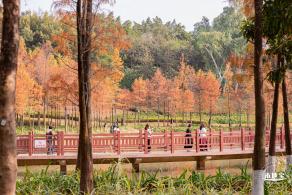 红花岭公园