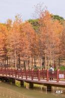 红花岭公园