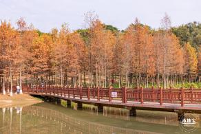 红花岭公园
