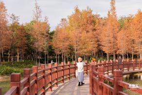 红花岭公园