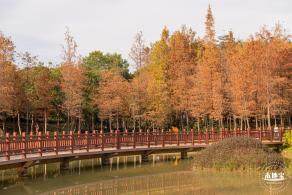 红花岭公园