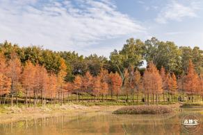 红花岭公园