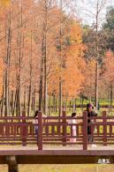 红花岭公园