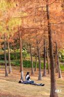 红花岭公园