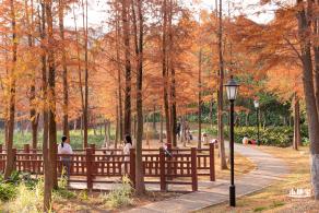 红花岭公园