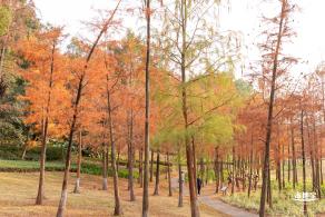 红花岭公园