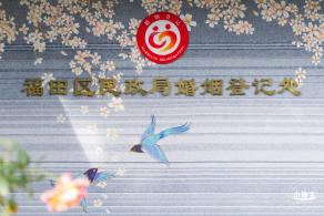 香蜜月季花