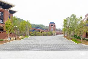 中山大学（深圳校区）