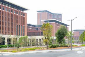 中山大学（深圳校区）