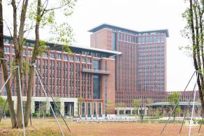 中山大学（深圳校区）