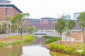 中山大学（深圳校区）