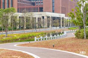 中山大学（深圳校区）