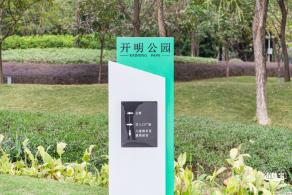 光明月季花海