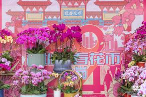 北理莫斯科大学&龙岗迎春花市