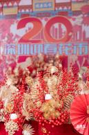 北理莫斯科大学&龙岗迎春花市