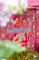 北理莫斯科大学&龙岗迎春花市