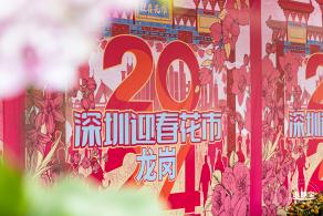 北理莫斯科大学&龙岗迎春花市