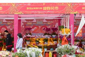 北理莫斯科大学&龙岗迎春花市